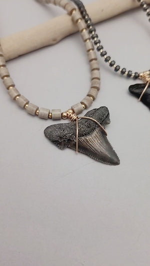 Sharks Tooth Necklace