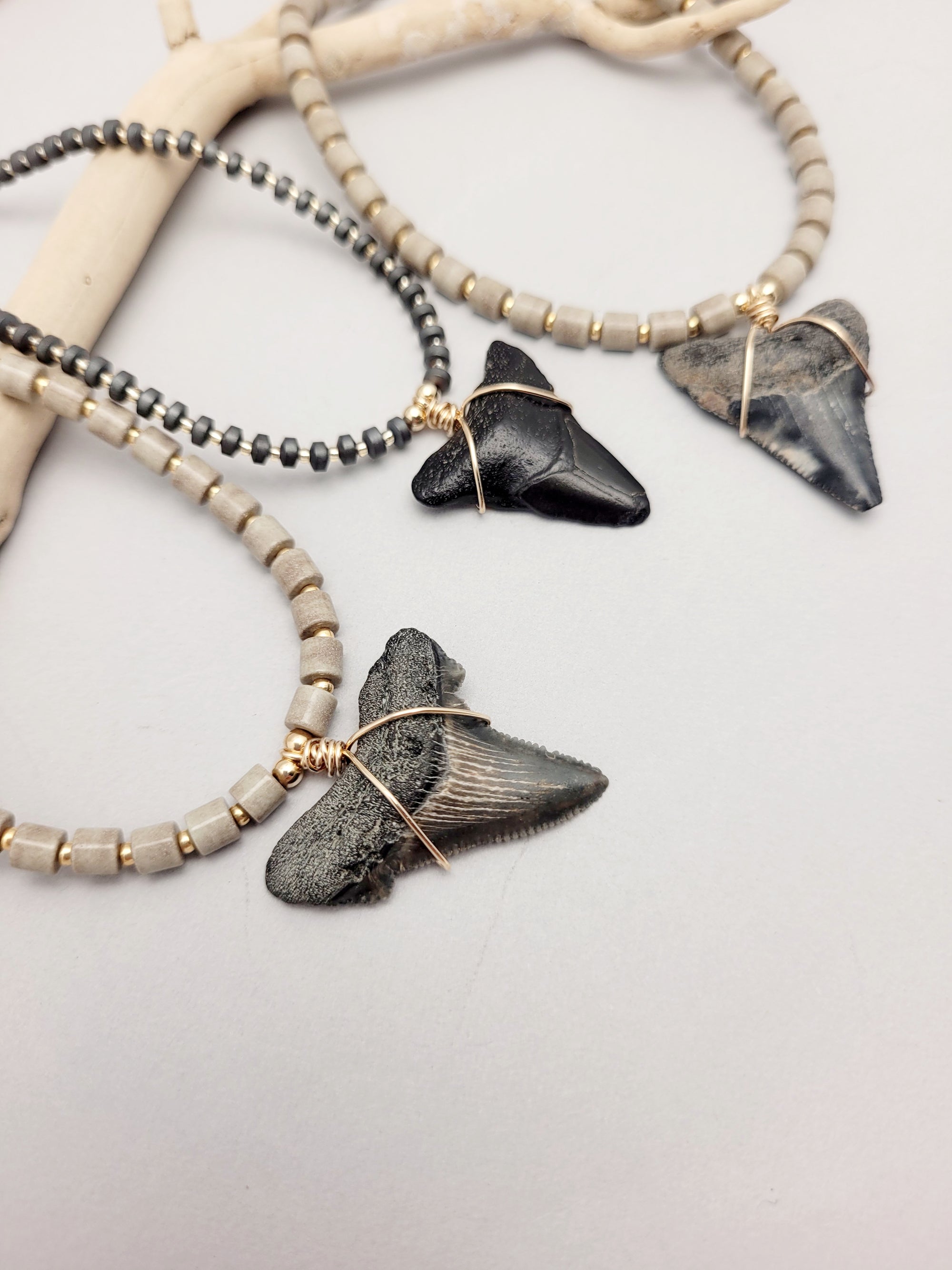 Sharks Tooth Necklace