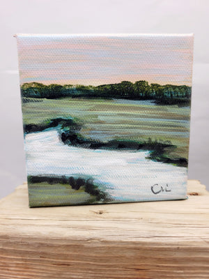 Mini Landscapes