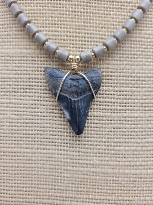 Sharks Tooth Necklace