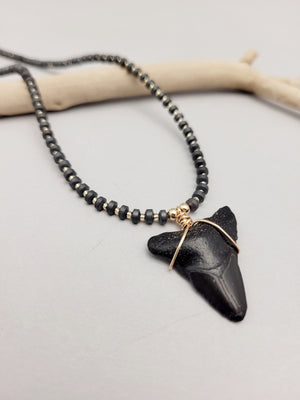 Sharks Tooth Necklace