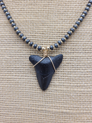 Sharks Tooth Necklace