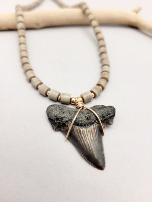 Sharks Tooth Necklace