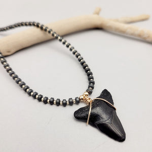 Sharks Tooth Necklace